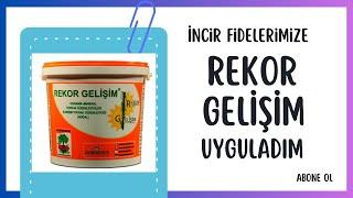 Rekor gelişim uygulaması