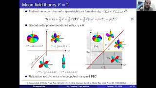 Monopoles, Alice rings and topological interfaces in spinor Bose-Einstein condensates