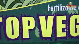 Fertilizante líquido para crecimiento de tus plantas -Top Veg- Top Crop