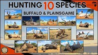 Epic Buffalo hunting. Add a bunch of plains game, two excited hunters and a great PH. Life's good.