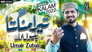 Tera Mangta (Ya Rasuallah یارسول اللہ) 2022 - Umair Zubair