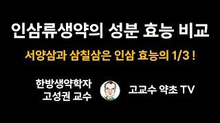 [인삼류생약의 성분 효능 비교] 서양삼과 삼칠삼은 인삼 효능의 1/3 !