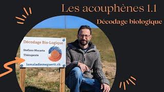 Les acouphènes 1.1 - décodage biologique