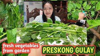 PRESKONG GULAY | MASUSTANSIYANG GULAY | fresh vegetables from garden