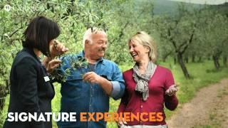 Insight Vacations Review ..."The Art Of Touring In Style"