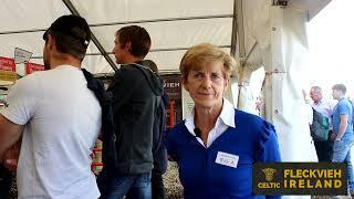 Fleckvieh at the 2022 National Ploughing Exhibit.