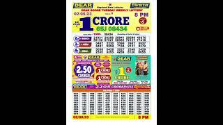  Lottery Sambad Live 08:00pm 02/05/23 Evening Nagaland State Dear Lottery Result Pdf Download