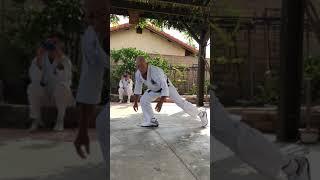 Isshinkai Enbukai.   Arcenio Advincula performing all  Isshin-ryū Karate kata