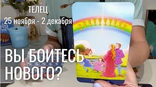 ТЕЛЕЦ : Вы боитесь нового? | Неделя 25 ноября - 2 декабря 2024 таро прогноз