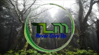 Gnizama - Never Give Up