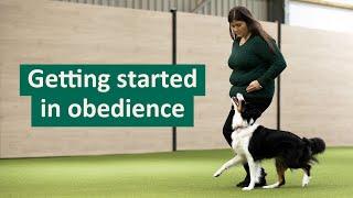 How to get started in Dog Obedience