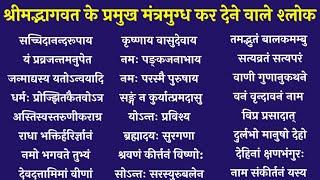 श्रीमद्भागवत के प्रमुख श्लोक।Srimad Bhagwat Mantra। हिंदी अर्थ के साथ भागवत महापुराण श्लोक