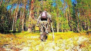 Грибник зашёл в БОР и был в ШОКЕ! Один в ЛЕСУ такого НЕ ОЖИДАЛ! Тихая охота сбор грибов 2025