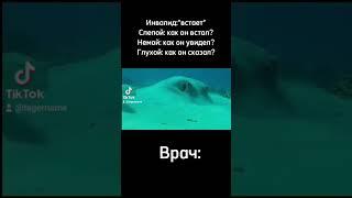 Очень подозрительная рыба