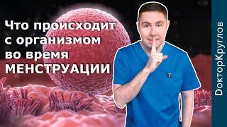 МЕНСТРУАЛЬНЫЙ цикл | КАК это работает | Сложнейший процесс