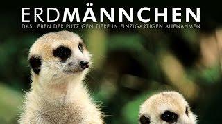 Erdmännchen - Wildlife Edition (2010) [Dokumentation] | Film (deutsch)