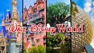 Top 10 Disney World Rides & Attractions- Virtual Park Hopping with Disney Ride POVs