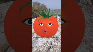 Shadi Kai Lee || Funny Video #shorts