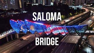 Saloma Bridge | Cinematic FPV Drone Shot