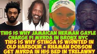 Jamaican Herman Charge Fi MvRDA In NYC/Rhaman Dobson Get MvRDA In His Bed/Stinga W@NTED