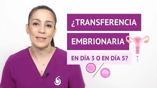 ¿Transferencia embrionaria en día 3 o en día 5?