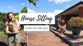 A Day In The Life Of A HOUSE SITTER | House/Pet Sitting | Kiwi House Sitters