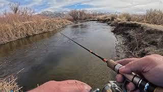 Casting Mini Jigs Into The Owens River For Trout | Eastern Sierra #troutfishing