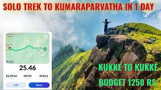 Solo Trek To Kumara Parvatha | Kumara Parvatha Trek | Kumara Parvatha Trek in one day |Toughest Trek