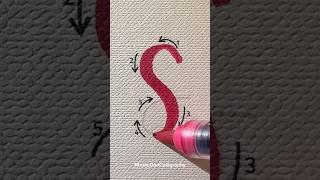 Brush Lettering / letter “S” ️ #nhuandaocalligraphy #shorts #brushlettering #lettering #calligraphy