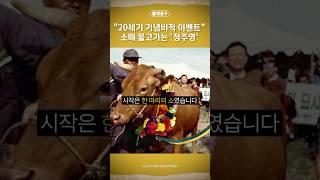 [5번출구] "20세기 기념비적 이벤트" 소떼 몰고가는 '정주영' / 머니투데이방송