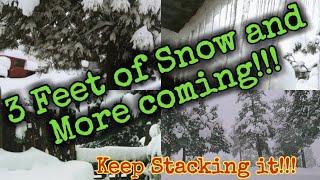 Massive SNOW, Power Outages, Sick Dog, We are Still Alive/ Keep Prepping and Don't Stop!!!