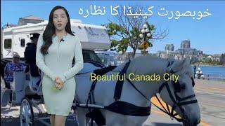 visit beautiful city| People are living in Canada| visit 2023| #harry gill show