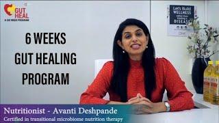 6 weeks gut healing program with Nutritionist Avantii Deshpaande