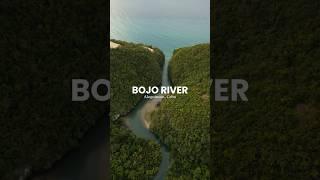 BOJO RIVER #dji #mini3pro #travel #davidsilagan #bojoriver