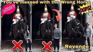 You Wont Believe What This Tourist Did! Horse Becomes So Fed Up And Gets His REVENGE…