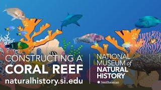 Constructing a Coral Reef: How Plants and Animals Create Coral Reef Ecosystems