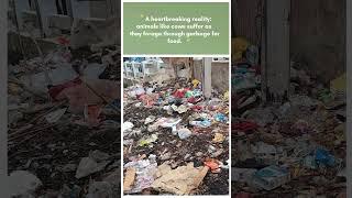 Footprint on Reality