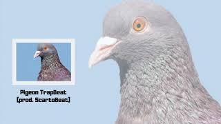 Pigeon TrapBeat prod  ScartoBeat