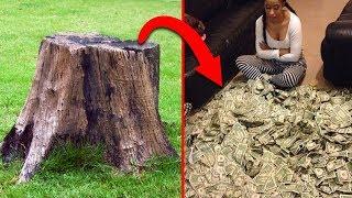 r/Prorevenge How I Made $700,000 With Tree Law Revenge!