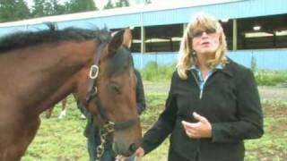 How Do You Know When a Hanoverian Smiles at You?