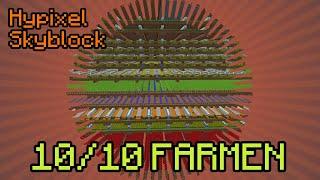 GOLD IN JEDEM FARMING CONTEST  Hypixel Skyblock Deutsch | Multidissimo