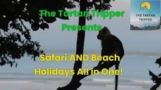 Safari and Beach Holidays. You Want Both Together, Here's How.