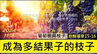 [糧好7分鐘] 11月3日 成為多結果子的枝子 | 約 15-16 | 一年一遍聖經 2024