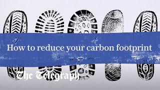 How to reduce your carbon footprint...without being a martyr