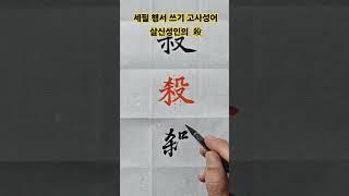 세필 행서 쓰기 고사성어 살신성인의  殺