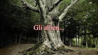 L'esempio degli alberi - Serena Derea Squanquerillo