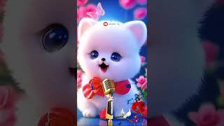 Mustafa Mustafa  Cute Cat  Billi Naat Ringtone 2024 #shorts #islamic #naat #cat