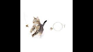 Cat Dancer Original Cat Teaser on a Wire Interactive Cat Toy