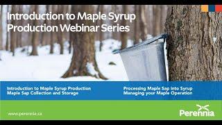 Introduction to Maple Syrup Production