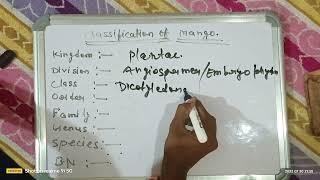 classification of mango in the living world